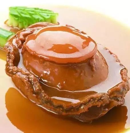 世界鲍鱼品种大全，看完成半个专家了！