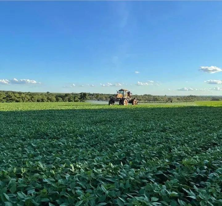 用钱去做农业会怎样,去农村搞种植业投资怎样做最好