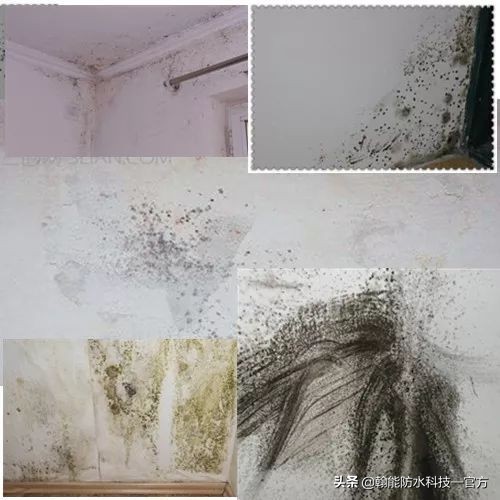 家里很潮湿用什么解决方法,专家谈房间潮湿怎么去潮