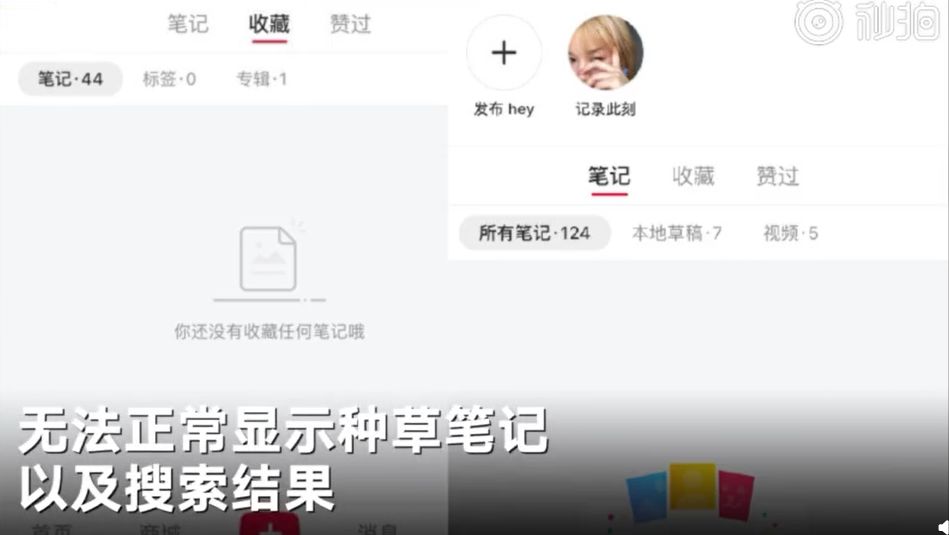 小红书店铺被售假下架,小红书售假店铺被冻结