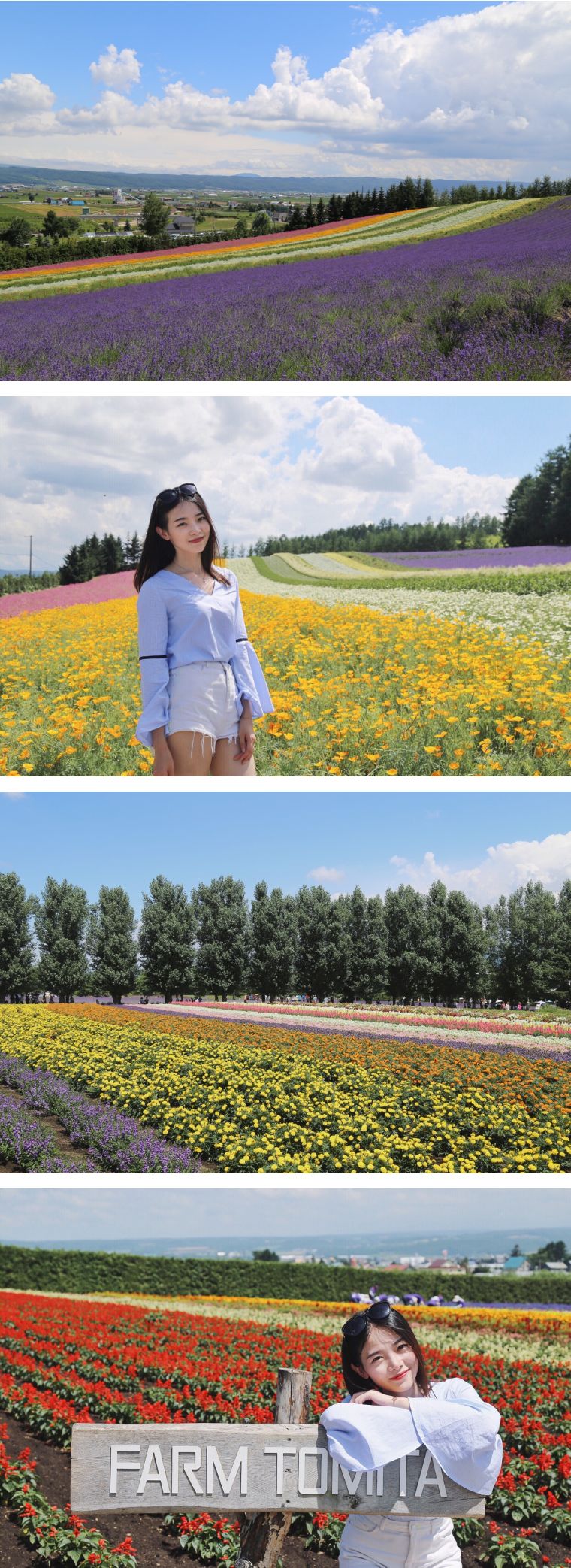 北海道七月的样子,北海道7月