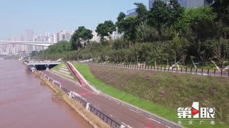 北滨路江滩公园樱花,江滩湿地公园