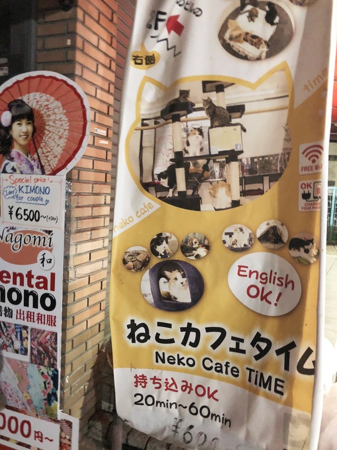 伏见稻荷大社怎么去清水寺,伏见稻荷大社到清水寺远吗