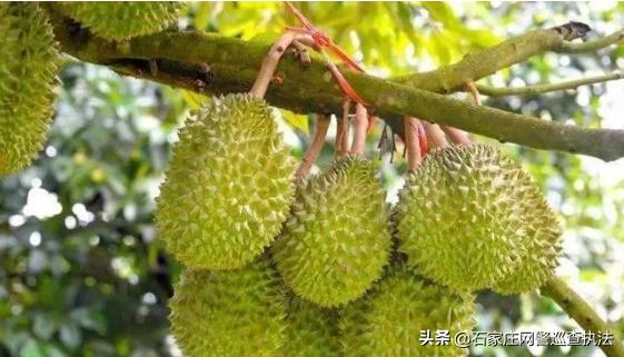 免费扫二维码领物品诈骗,扫一扫诈骗案例