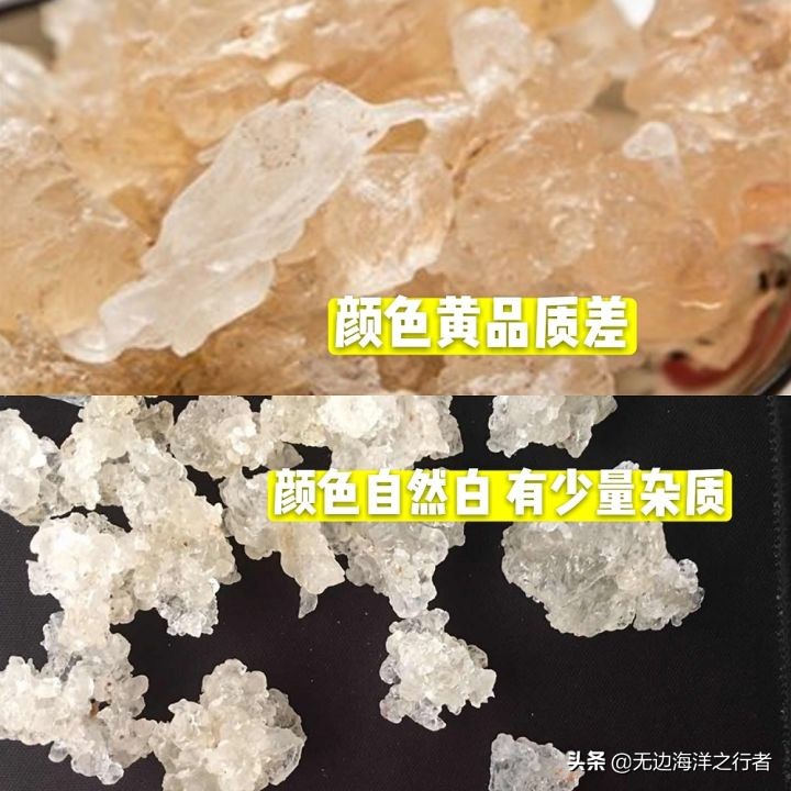 雪燕干货批发,雪燕订单
