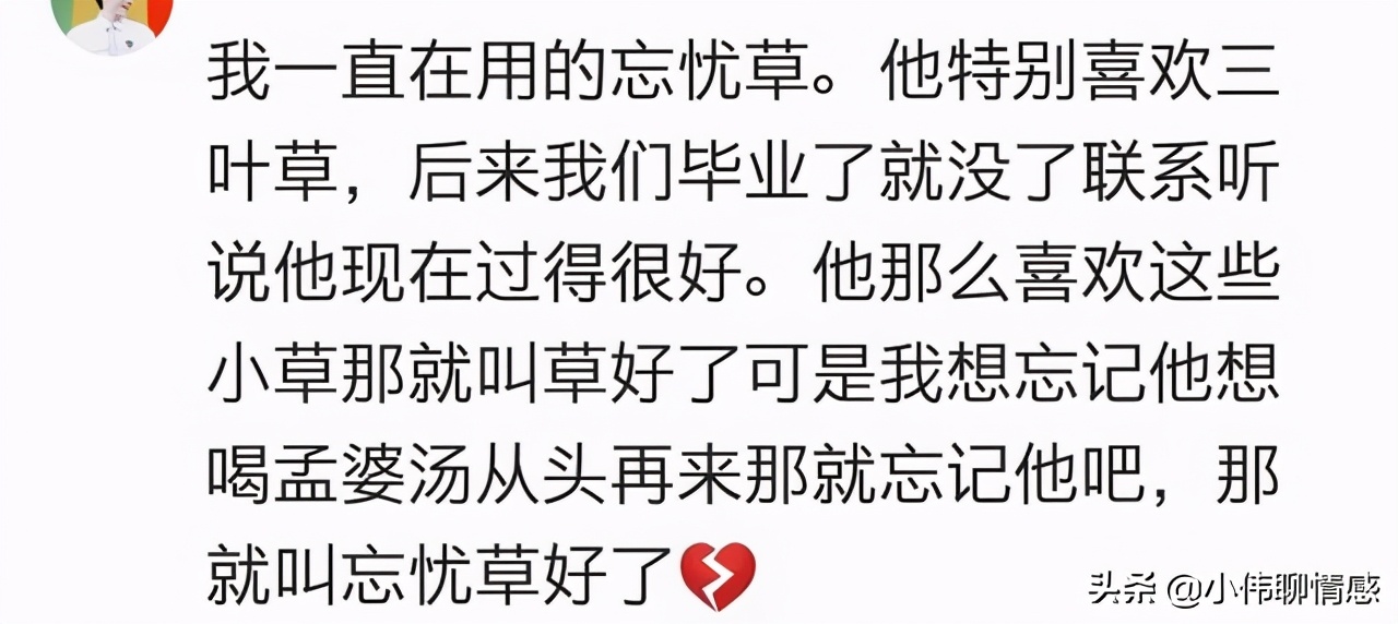 你的网名寓意什么,你的网名寓意是什么