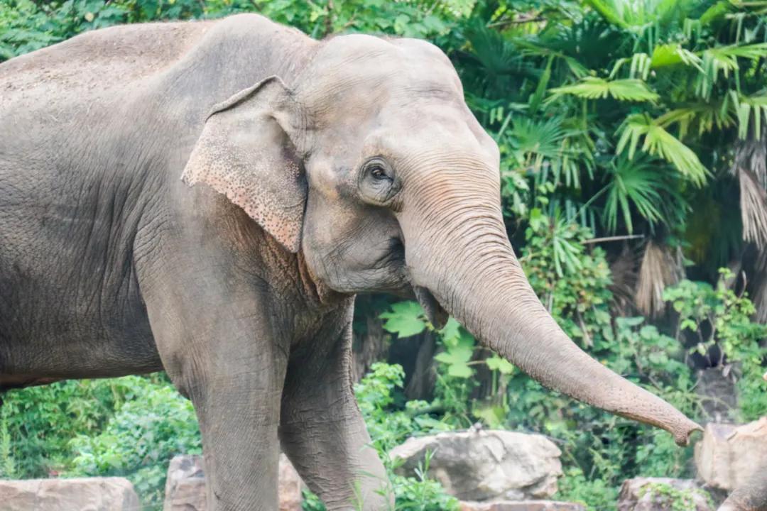 最后的倔强：热搜过后，谁还记得它们？