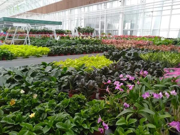 东丽区有发展吗,天津东丽区为什么没发展