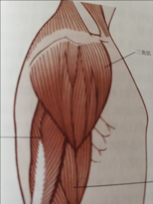 肩周炎治疗完整视频,肩周炎的问诊要点及对症用药