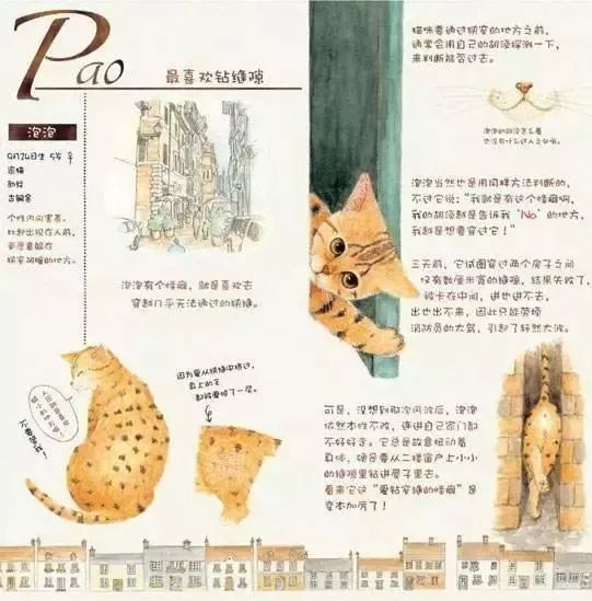 0-3岁猫咪可爱绘本,诚实的猫咪3-6岁儿童经典绘本