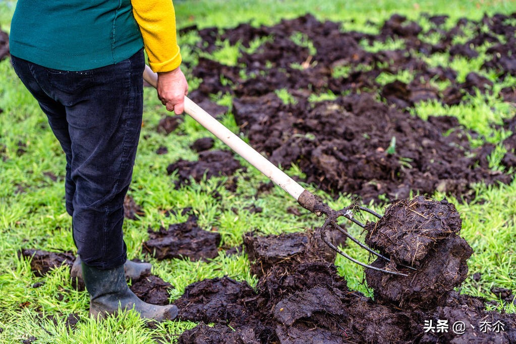 新型有机肥加工生产线,粪便有机肥生产线生产厂家