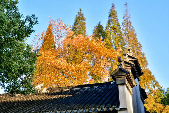 大美中国江南水乡,今年夏季旅游最佳去处