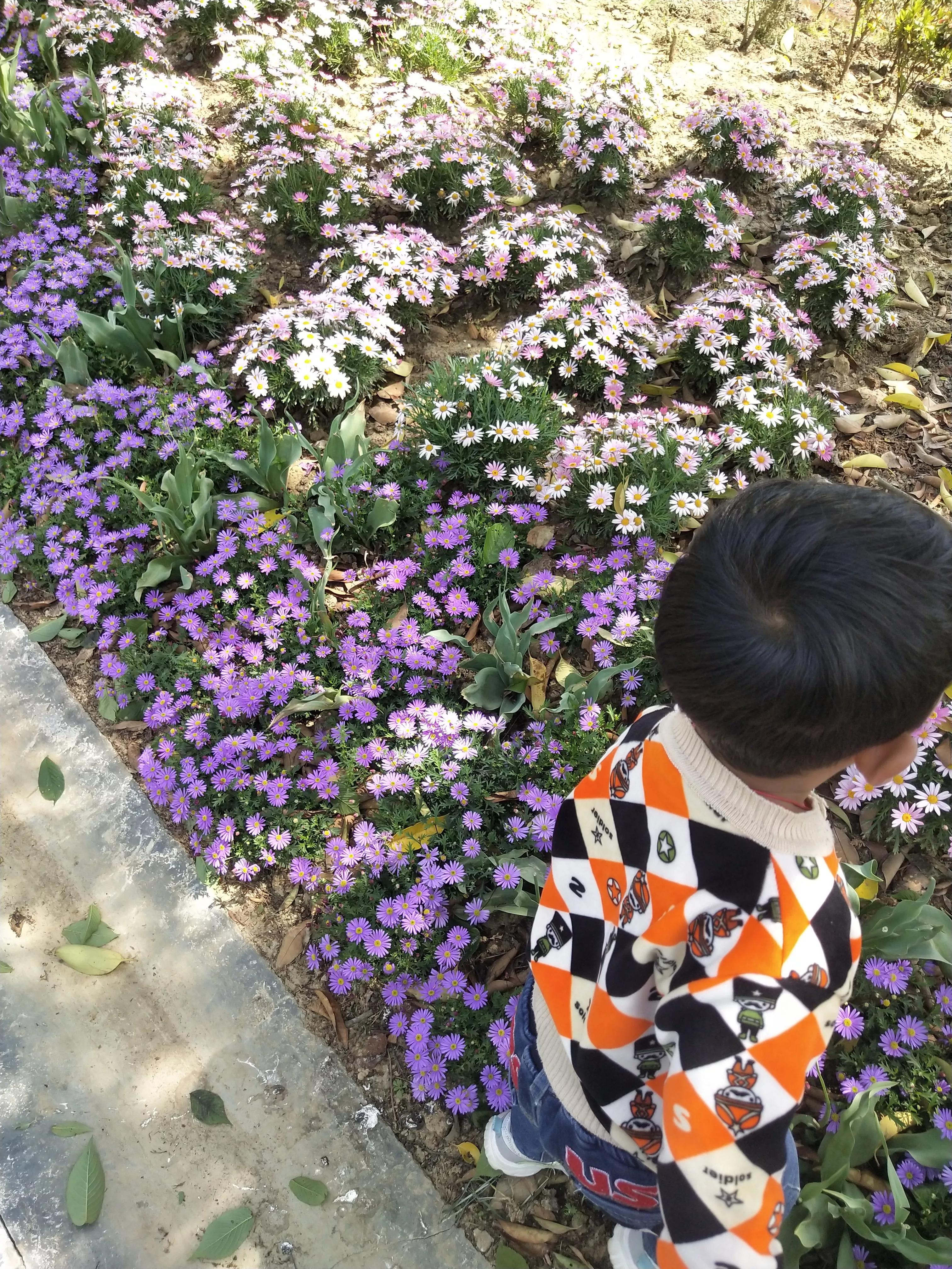 南京市溧水区三叶梦华苑,溧水梦华苑最新消息