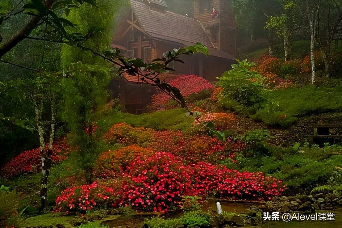 alevel经济学题,alevel经济学主要学习内容