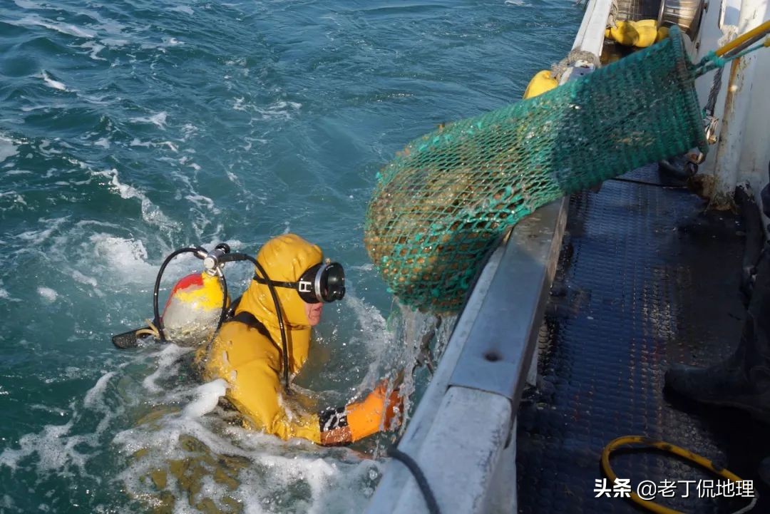 中国海鲜地图,中国海鲜最多地区