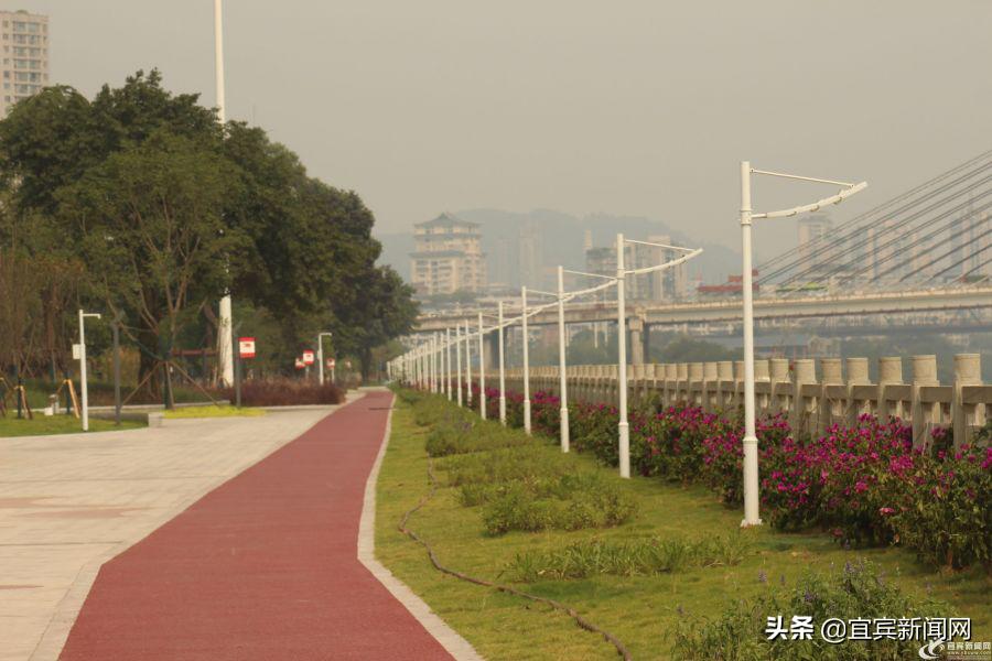 推门见绿开窗见园宜宾城市生活就是这样美好