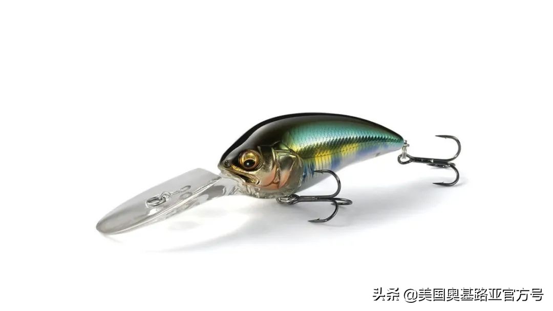 2024全国渔具展会一览表最新,2022年全国渔具展在哪