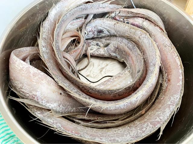 海边农家乐刀鱼做法,最好的刀鱼做法