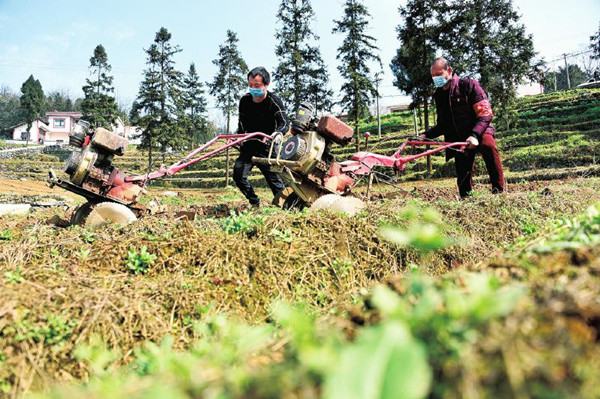 田间地头春耕忙——泸州推进乡村振兴系列报道之一