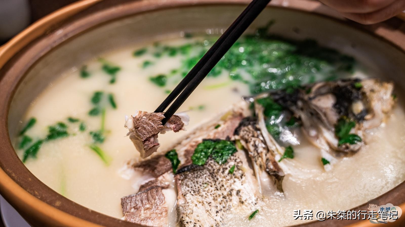 溧阳市区天目湖鱼头汤哪家最正宗,来溧阳一定要尝天目湖鱼头汤