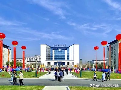 中医考研大学排行榜,国内顶尖的中医药大学考研