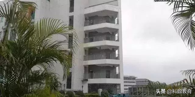 “人气王”宝安中学最强攻略!有宝中梦的不要错过