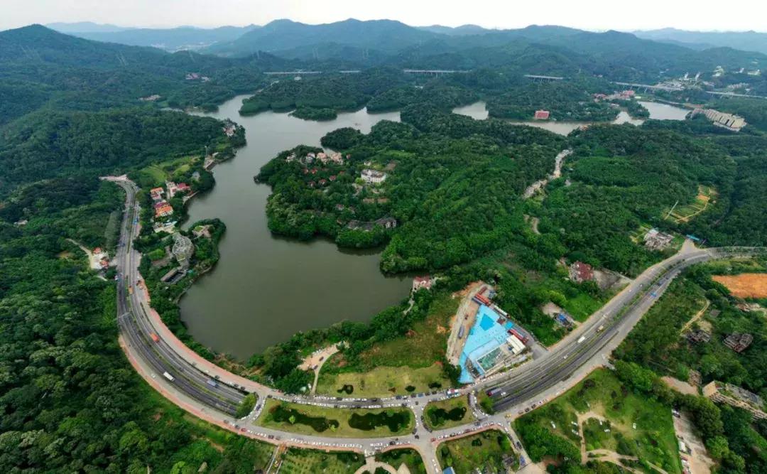 黄埔街坊家中深夜潜入1米长眼镜蛇,这三个捕蛇误区必须记住