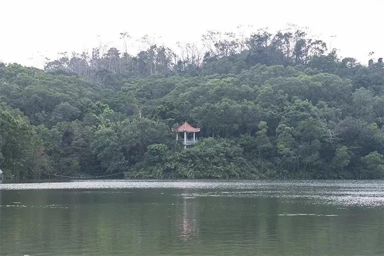 最美湖泊小众风景,最美湖泊西湖
