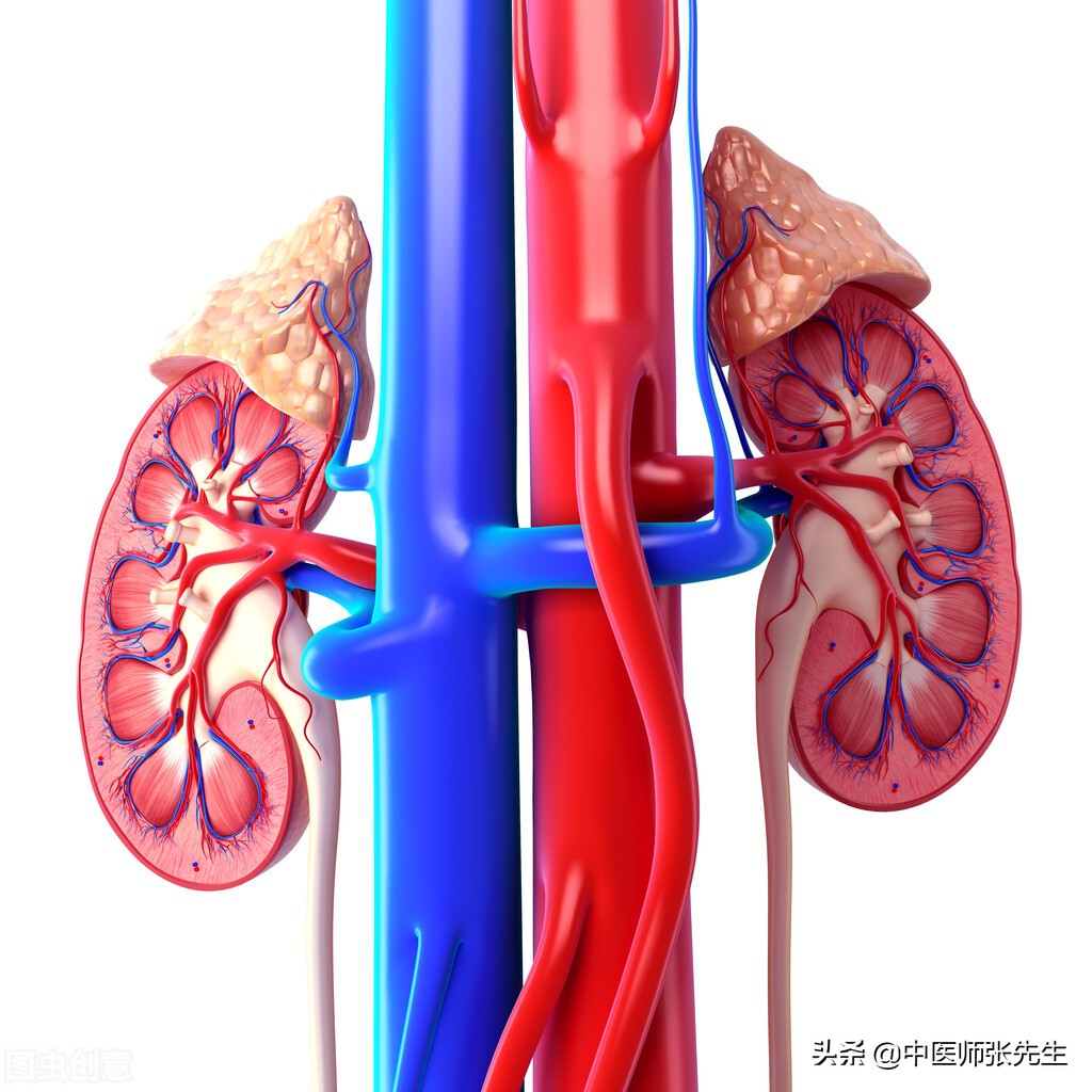 心胆为啥会虚,疏肝利胆气虚
