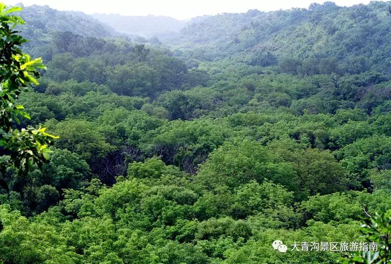 疫情防控集体教育知识,疫情防控学习与宣传活动