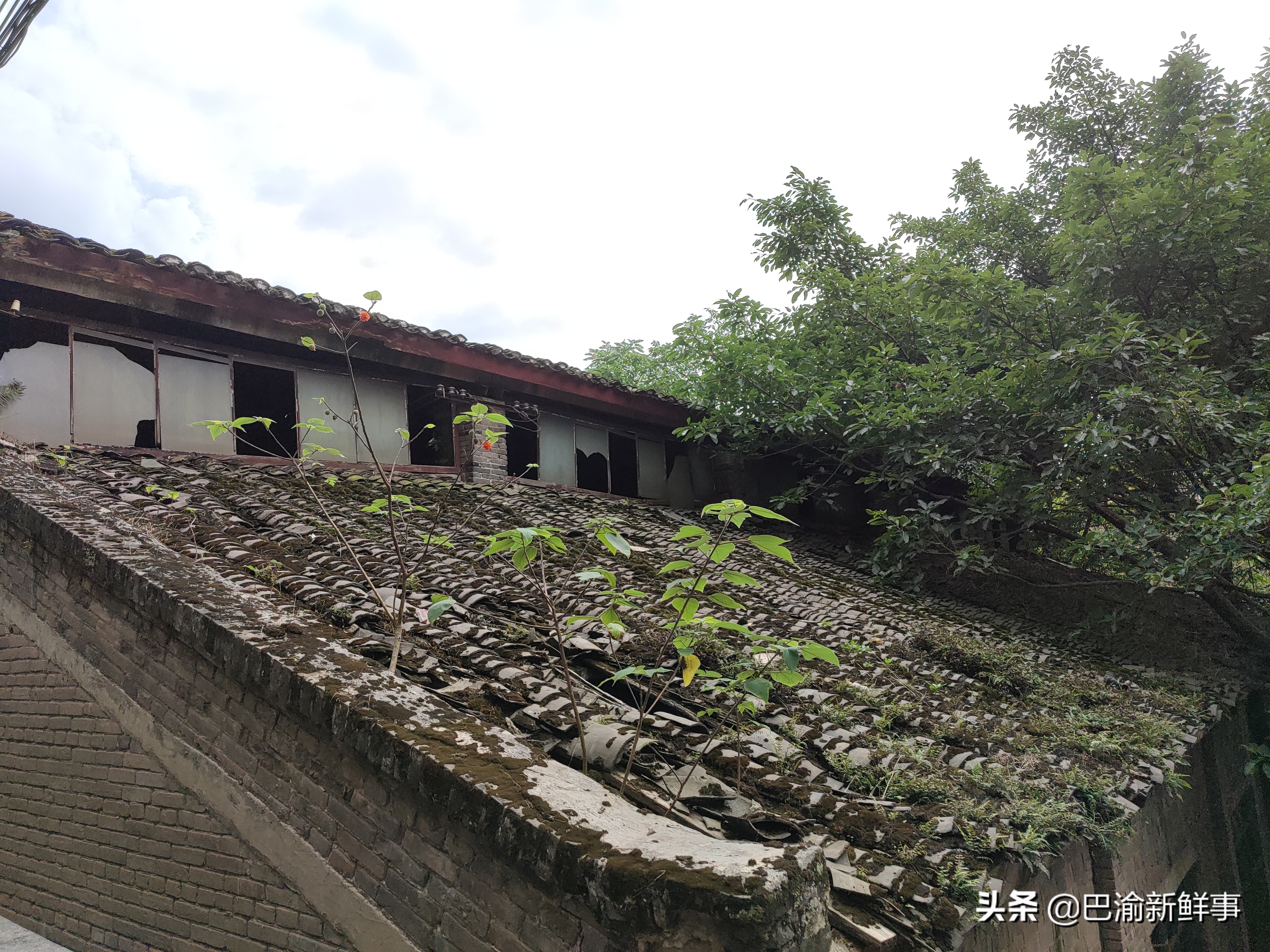 重庆巴南鱼洞这条街有点怪,一边是高楼大厦,一边是旧房