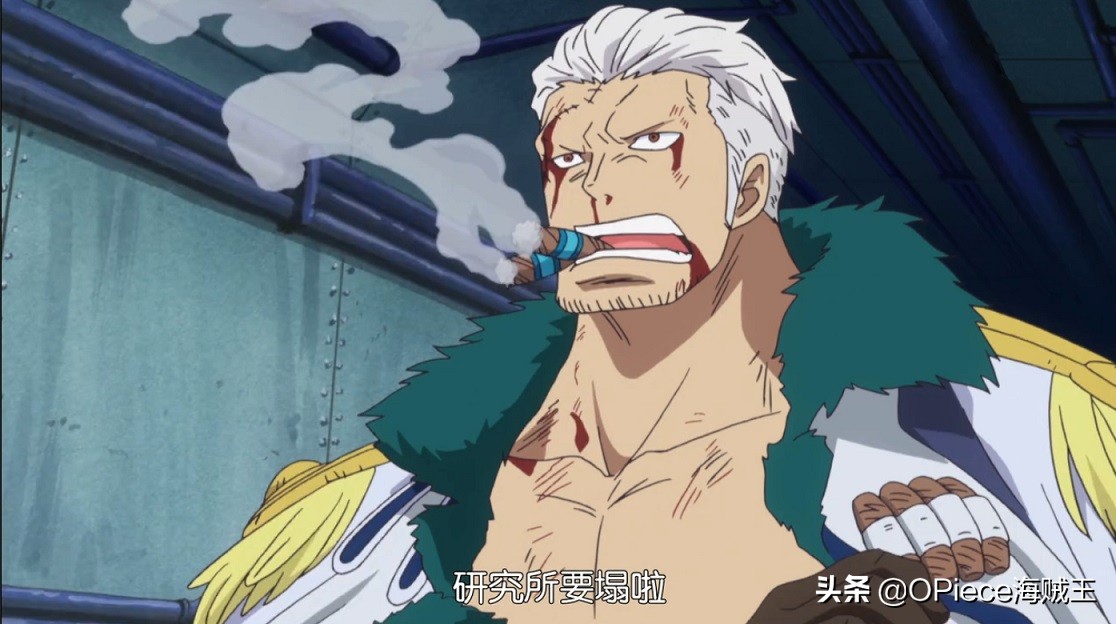 海贼王中的自然恶魔果实，并非全都强大，其中几种被使用者埋没