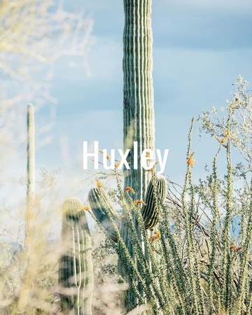 别再只逛那几家！征服欧妮的新生代5大韩系美妆　海量色系超好买