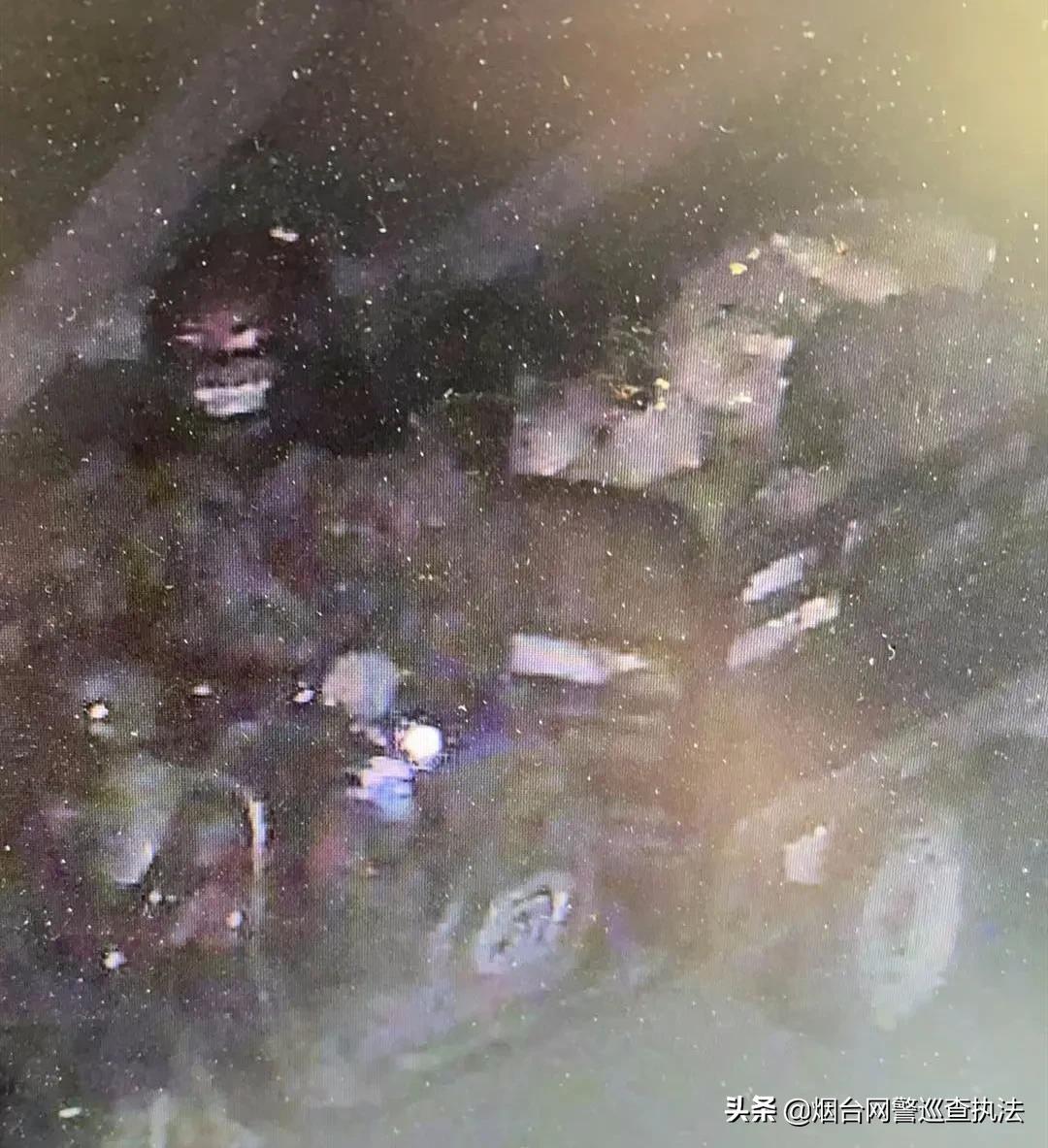 月黑风高偷猪崽，蜀黍叫你“赔了夫人又折兵”！