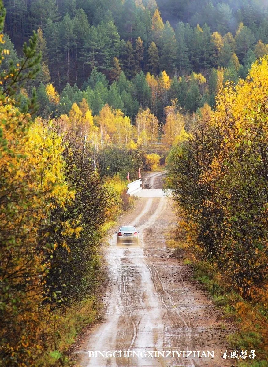 深秋的大兴安岭色彩斑斓,大兴安岭的秋天美景