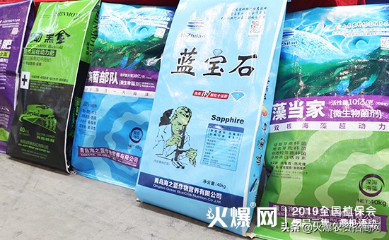 我为海之蓝代言,我为海之蓝代言谁拍的