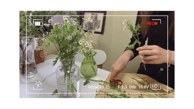 15款超好用的ipadapp推荐,一些推荐ipad使用的app