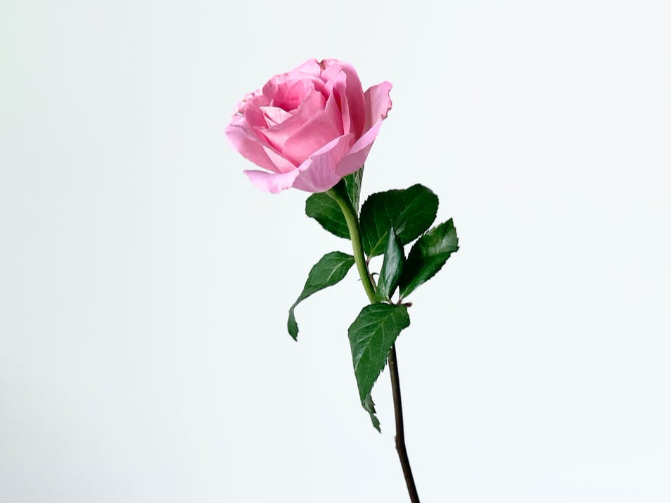 “不结婚,老了是不是真的很惨”,三个独居老人说出了实情