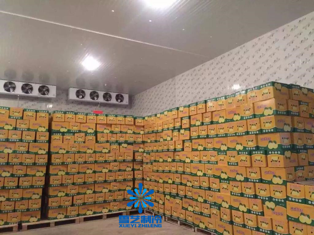 新鲜水果抽真空可以保存多久,保存新鲜水果最适合温度