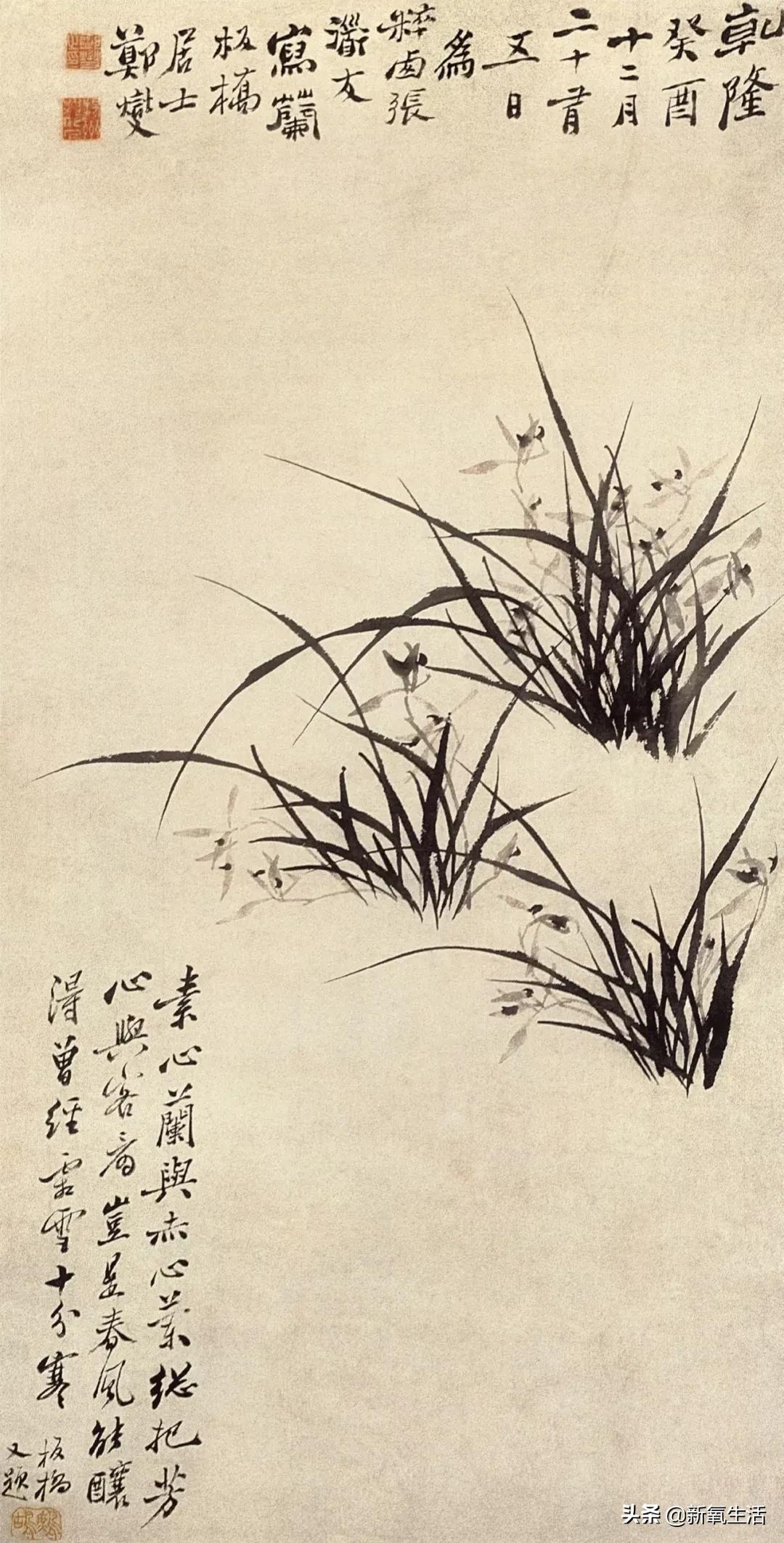 怪人郑板桥小说阅读,郑板桥卖书画