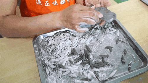 海南到底有多少种buǎ？恐怕连海南人自己都数不清……