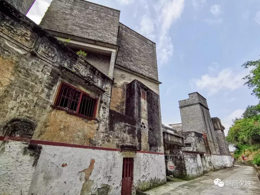 岐阳梧桐起凤环，鹭兮鹭兮寻不见（上）