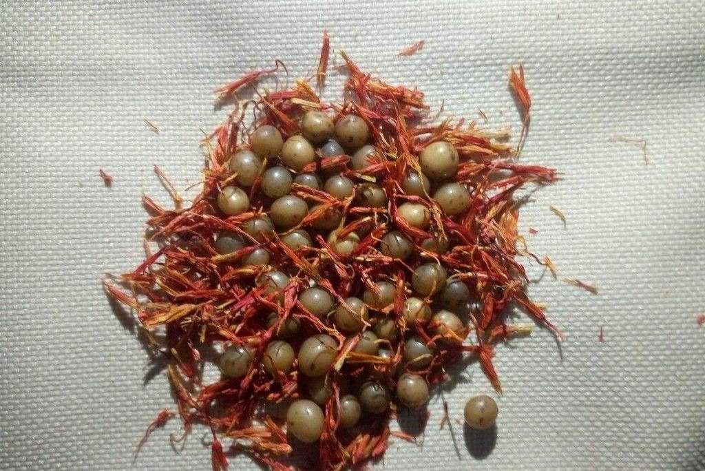 价值3亿的舍利子,金刚石舍利子收藏