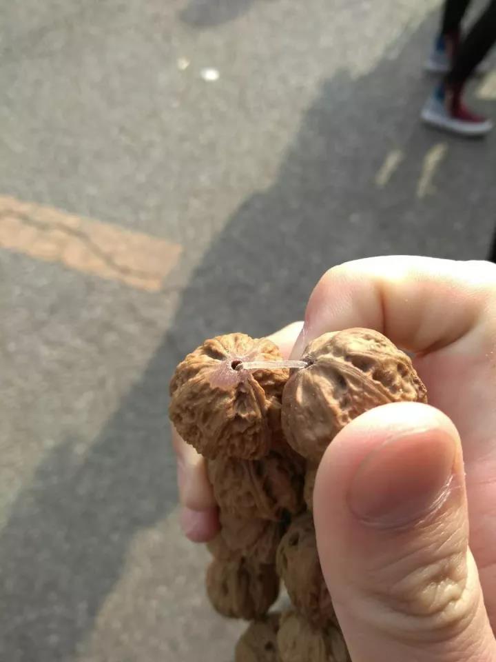 新玩友入圈,这四大“高危”手串假货地,很多人都被坑