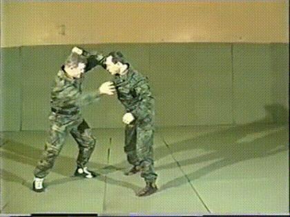 格斗式桑搏的标准动作,桑搏格斗术实战