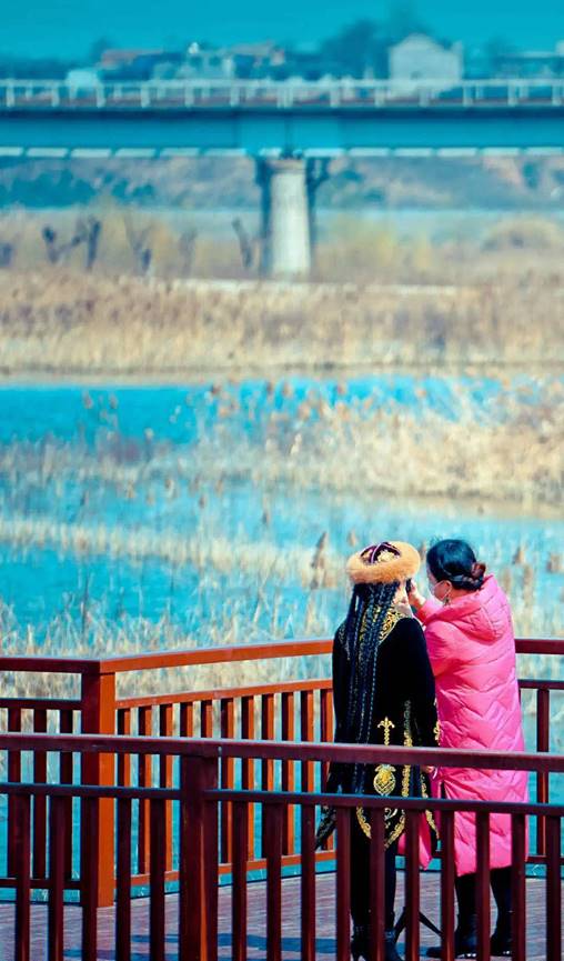 阎良最美石川河,阎良石川河秋日美景