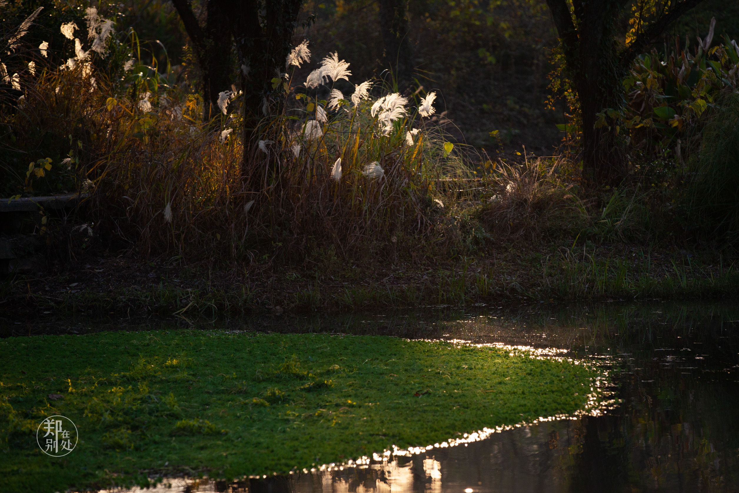 坐公交游杭州几路最好,杭州87路公交沿路风景