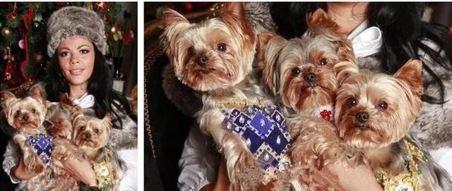 宠物戴的珠宝，来看看你能买得起几件？