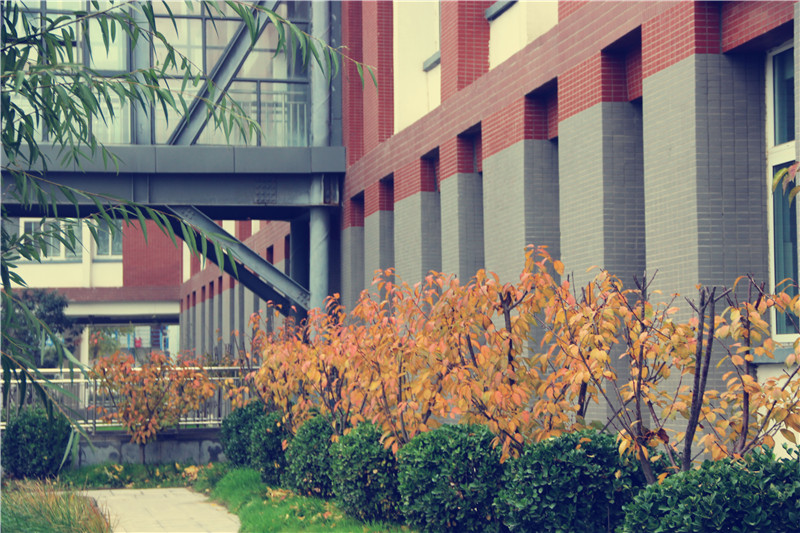 郑州经开区外国语中学鸟瞰图,郑州外国语初中航拍