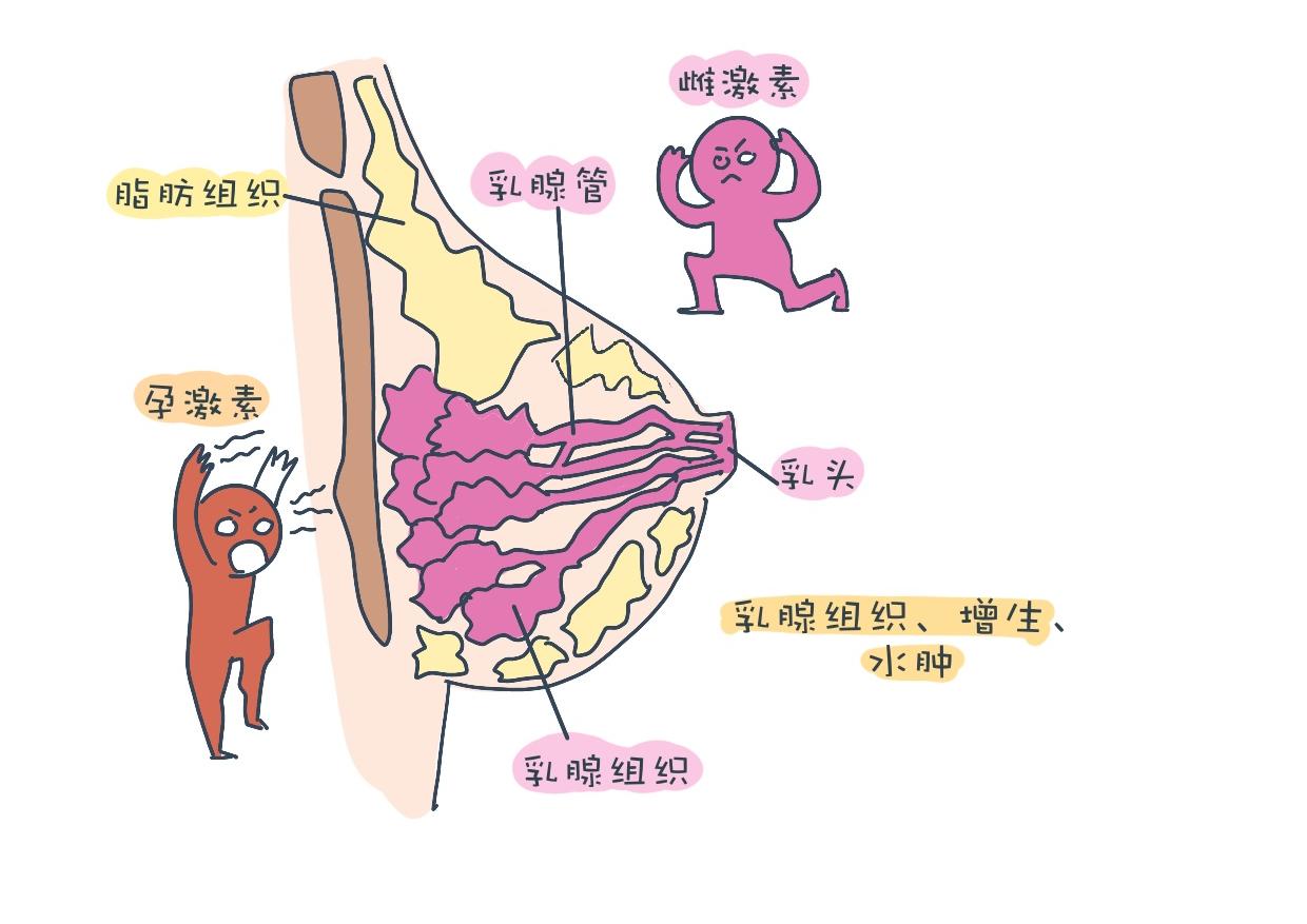 人体各部位的秘密,人体的所有秘密